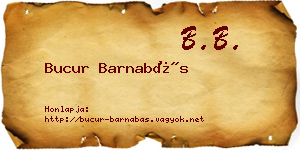 Bucur Barnabás névjegykártya