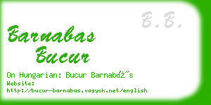 barnabas bucur business card